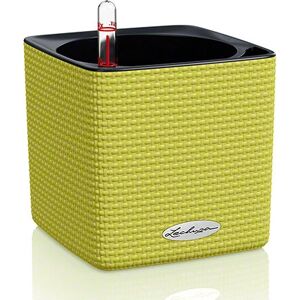 LECHUZA - CUBE Color 14 - Pistachio - Planter LECHUZA - CUBE Color 14 - Pistachio - Planter