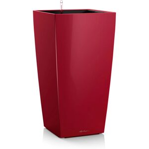 Maceta auto riego Lechuza Cubico 40 - Interior y Exterior Maceta auto riego Lechuza Cubico 40 - Interior y Exterior