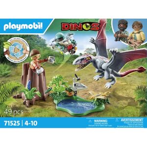 Playmobil Dinos (71525) Playmobil Dinos (71525)