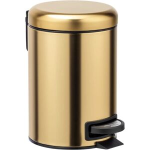 Wenko Leman Stainless Steel Bathroom Trash Bin - 3L Compact Modern Wenko Leman Stainless Steel Bathroom Trash Bin - 3L Compact Modern