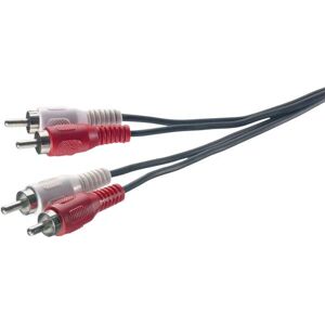 Câble audio RCA professionnel SpeaKa SP-1300368 2,5 m Câble audio RCA professionnel SpeaKa SP-1300368 2,5 m