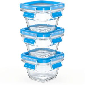 Emsa N10507 Blue Square Food Storage Set - BPA-Free, Microwave & Dishwasher Safe Emsa N10507 Blue Square Food Storage Set - BPA-Free, Microwave & Dishwasher Safe