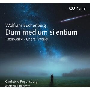 Wolfram Buchenberg Dum Medium Silentium - CD Wolfram Buchenberg Dum Medium Silentium - CD