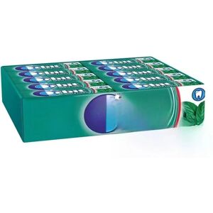 Orbit Chewing Gum Sans Sucre Menthol Eucalyptus - Chewing Gum - Publicité Orbit Chewing Gum Sans Sucre Menthol Eucalyptus - Chewing Gum - Publicité