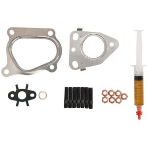 Kit de turbo EVORON EVMK0089 - avec instructions, joints, vis, seringue avec huile, écrous autobloquants - Publicité Kit de turbo EVORON EVMK0089 - avec instructions, joints, vis, seringue avec huile, écrous autobloquants - Publicité