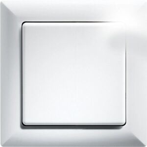 Eltako FT55-wg White Wireless Light Switch - Light Switch Eltako FT55-wg White Wireless Light Switch - Light Switch
