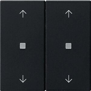 GIRA 5386005 - Wippe 2-fach Schwarz GIRA 5386005 - Wippe 2-fach Schwarz