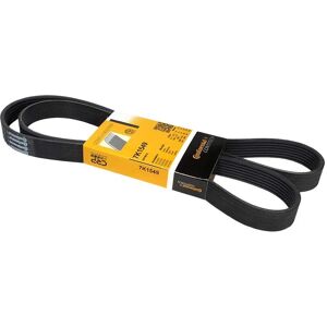 ALVADI CONTINENTAL CTAM Poly-V-riem - Riem de service ALVADI CONTINENTAL CTAM Poly-V-riem - Riem de service