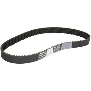 CONTITECH CT1008 Timing Belt - 109 Teeth, 25mm Width CONTITECH CT1008 Timing Belt - 109 Teeth, 25mm Width