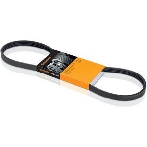 ALVADI CONTINENTAL CTAM Cinghia di Distribuzione - Timing Belt ALVADI CONTINENTAL CTAM Cinghia di Distribuzione - Timing Belt