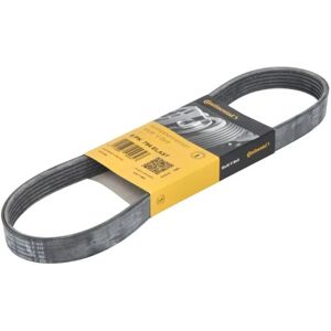 ALVADI CONTINENTAL CTAM V-ribbed belt 6PK794 Elast - V-remmi ALVADI CONTINENTAL CTAM V-ribbed belt 6PK794 Elast - V-remmi