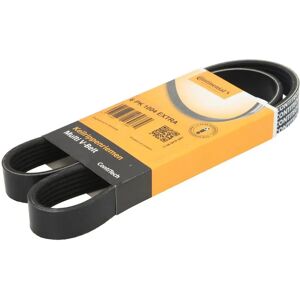 ContiTech Distributieriem 6PK1004 - Distributieriem ContiTech Distributieriem 6PK1004 - Distributieriem