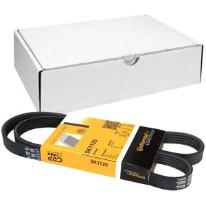 ALVADI CONTINENTAL CTAM V-vetohihna - 5PK1120 ALVADI CONTINENTAL CTAM V-vetohihna - 5PK1120