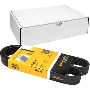 CONTITECH 6PK935 Keilriemen - Keilriemen CONTITECH 6PK935 Keilriemen - Keilriemen