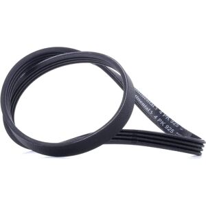 Continental Serpentine Belt 925mm 4PK Continental Serpentine Belt 925mm 4PK