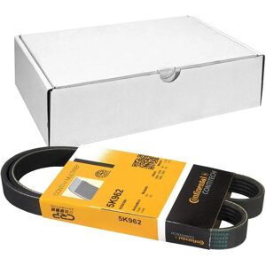 Continental 5PK962 Trapesiabanda - Trapesiabanda Continental 5PK962 Trapesiabanda - Trapesiabanda