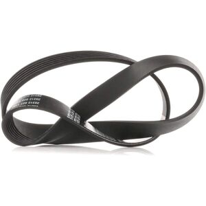 Continental V-vyörärme 6PK900 - V-kiila Continental V-vyörärme 6PK900 - V-kiila