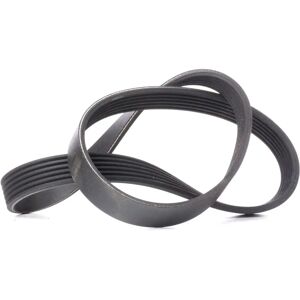 ALVADI CONTINENTAL CTAM V-Rippenriemen - Keilrippenriemen ALVADI CONTINENTAL CTAM V-Rippenriemen - Keilrippenriemen