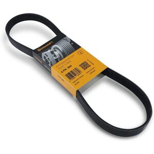 Alvadi Continental V-vaihteisto 6PK894 - V-vaihteisto Alvadi Continental V-vaihteisto 6PK894 - V-vaihteisto