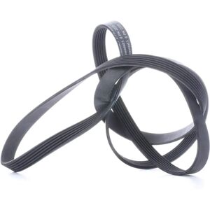 Continental V-ripkarengas - 2225mm, 6 urat - Sopii Ford, Mercedes, VW Continental V-ripkarengas - 2225mm, 6 urat - Sopii Ford, Mercedes, VW