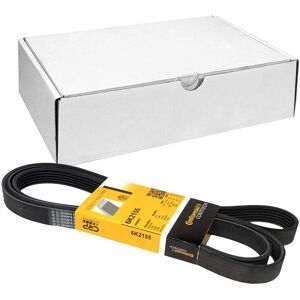 Continental CTAM V-vyö - 6PK2155 Continental CTAM V-vyö - 6PK2155