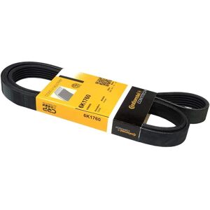 CONTITECH Poly-V Riempak - aandrijfasriem CONTITECH Poly-V Riempak - aandrijfasriem