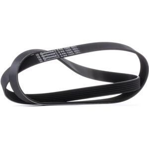 ALVADI CONTINENTAL CTAM V-ripstop - V-ribbed belt ALVADI CONTINENTAL CTAM V-ripstop - V-ribbed belt