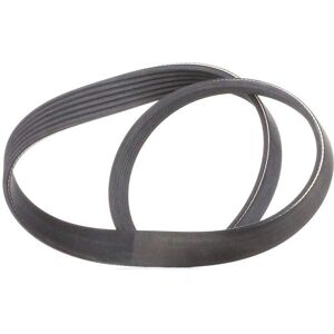 Courroie trapézoïdale poli V CONTITECH 6PK800 - Publicité Courroie trapézoïdale poli V CONTITECH 6PK800 - Publicité
