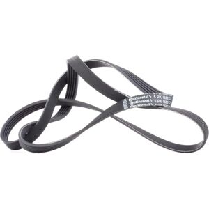 ALVADI CONTINENTAL CTAM Courroie trapézoïdale nervurée - 5PK1680 - Courroie trapézoïdale - Publicité ALVADI CONTINENTAL CTAM Courroie trapézoïdale nervurée - 5PK1680 - Courroie trapézoïdale - Publicité