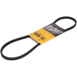 Courroie trapézoïdale 3PK885 ELAST - Accessoires - Publicité Courroie trapézoïdale 3PK885 ELAST - Accessoires - Publicité