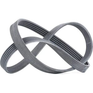 Continental Poly-V Szíj 1318mm - Trapéz alakú szíj Continental Poly-V Szíj 1318mm - Trapéz alakú szíj