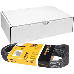 ALVADI CONTINENTAL CTAM Correa V-ribbed - Correa trapecial ALVADI CONTINENTAL CTAM Correa V-ribbed - Correa trapecial