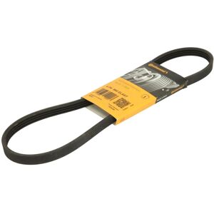CONTITECH BMW Poly-V Hihna 860mm - Vaihteistorem CONTITECH BMW Poly-V Hihna 860mm - Vaihteistorem