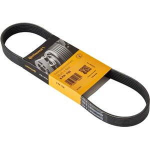 Continental 6PK730 V-ribbed belt - V-ribbed belt Continental 6PK730 V-ribbed belt - V-ribbed belt