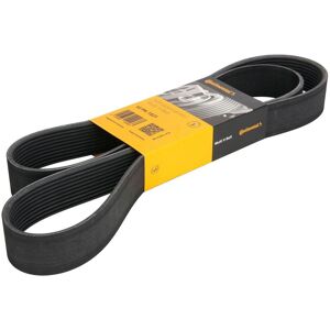 CONTITECH 10PK1521 V-ikäntä - Lisävaruste CONTITECH 10PK1521 V-ikäntä - Lisävaruste