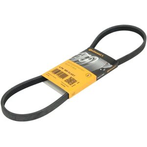 ALVADI CONTINENTAL 4PK885 V-urainen hihna - V-ribbed belt ALVADI CONTINENTAL 4PK885 V-urainen hihna - V-ribbed belt