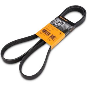 Continental CTAM V-ribbed belt 6PK1698 - V-ribbed belt Continental CTAM V-ribbed belt 6PK1698 - V-ribbed belt