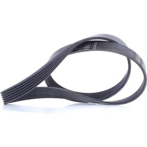 ALVADI CONTINENTAL CTAM V-ribbed belt 6PK1090 ELAST - Timing Belt ALVADI CONTINENTAL CTAM V-ribbed belt 6PK1090 ELAST - Timing Belt
