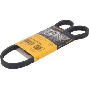 ALVADI CONTINENTAL Model 4PK1022 - V-ribbed belt ALVADI CONTINENTAL Model 4PK1022 - V-ribbed belt