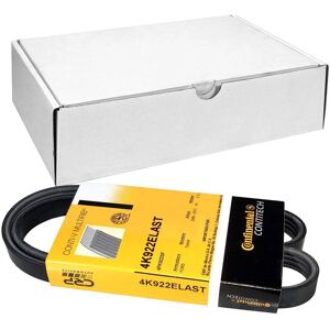 Continental CTAM V-ripstop rem 4PK922 ELAST - V-ripstop rem Continental CTAM V-ripstop rem 4PK922 ELAST - V-ripstop rem