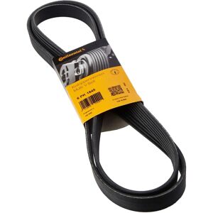 Contitech 6PK1845 Correa de nervaduras en V - V-ribbed belt Contitech 6PK1845 Correa de nervaduras en V - V-ribbed belt