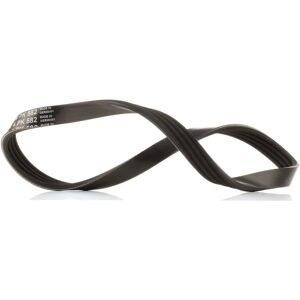 ALVADI CONTINENTAL CTAM Cinghia a V - V-ribbed belt ALVADI CONTINENTAL CTAM Cinghia a V - V-ribbed belt