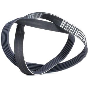 ALVADI CONTINENTAL CTAM V-ribbed belt 6PK1374 - V-riipuvyö ALVADI CONTINENTAL CTAM V-ribbed belt 6PK1374 - V-riipuvyö