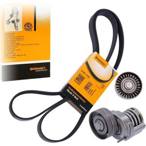 ALVADI CONTINENTAL CTAM Keilrippenriemen-Set - Keilrippenriemen-Set ALVADI CONTINENTAL CTAM Keilrippenriemen-Set - Keilrippenriemen-Set