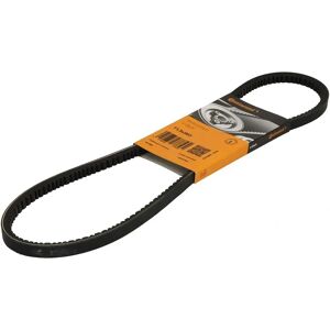 Contitech 11,9X903Ld V-riem - V-riem Contitech 11,9X903Ld V-riem - V-riem