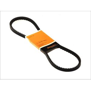 Continental AVX13X1775 - V-ribbed belt Continental AVX13X1775 - V-ribbed belt