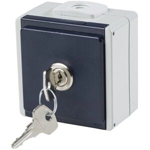 Schwabe 62461 Wandcontactdoos Lockable IP54 Schwabe 62461 Wandcontactdoos Lockable IP54