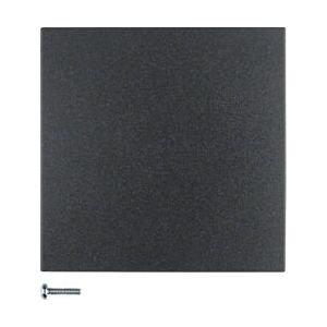 Berker 85141185 Piastra da Parete - Antracite - Copertura Interruttore Berker 85141185 Piastra da Parete - Antracite - Copertura Interruttore