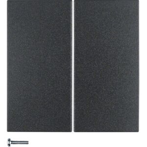 Berker 85142185 Piastra a Parete Antracite 2-Gang - Copertura Interruttore Berker 85142185 Piastra a Parete Antracite 2-Gang - Copertura Interruttore