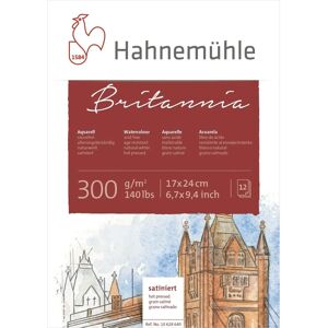 Hahnemühle Satin Aquarellpapier - 12 Blätter - 300g - A4 Hahnemühle Satin Aquarellpapier - 12 Blätter - 300g - A4